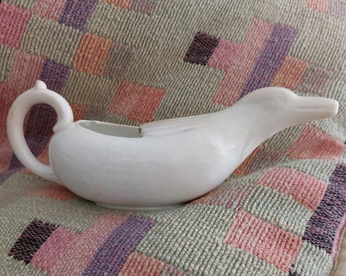 Canard biberon malade - canard, de