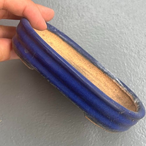 Pot bonsaï japonais - bonsaï,