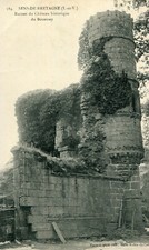 Carte SENS DE BRETAGNE Ruines du château historique de Bouessay