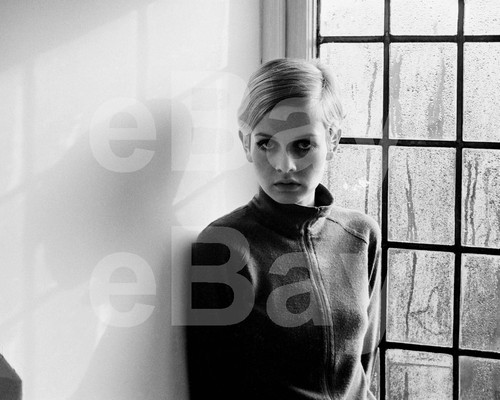Photo twiggy 10x8 - photo,