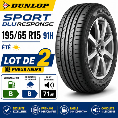 Lot pneus dunlop - de,