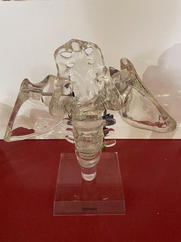 Anatomie matériel medical - matériel,