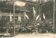 Vietnam - Saigon - Botanical Garden - A Corner of the Aviary - Birds - Zoo - CP