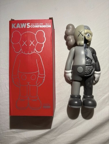 Kaws companion five years - kaws,
