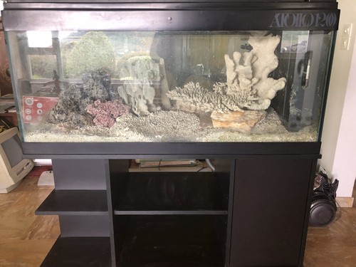 Aquarium avec meuble - aquarium, meuble.