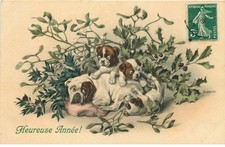 M.M VIENNA M. MUNK BULLDOG English