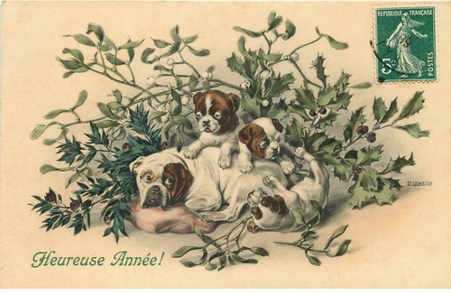 Vienne m munk - ,