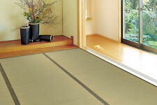 Tatami Mat Rush grass Rug Igusa Carpet Yanagawa Green Moromeori deodrant