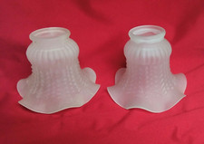 Paire de tulipes en verre