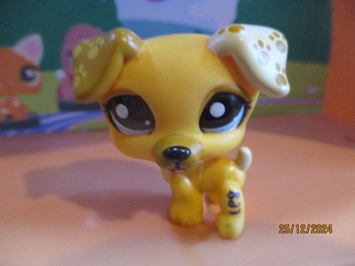 Petshop chien jack - chien, russel