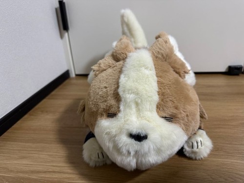 Peluche camp chiwawa grande - peluche,