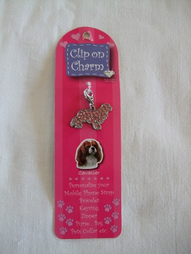 Pendentif médaillon - pendentif,