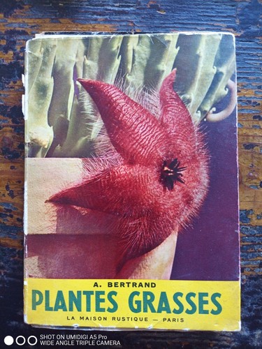 Bertrand plantes grasses - grasses,