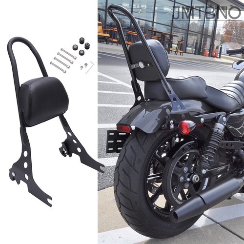 Detachable passenger sissy - detachable,