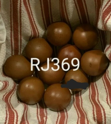 French black copper - ☆3,