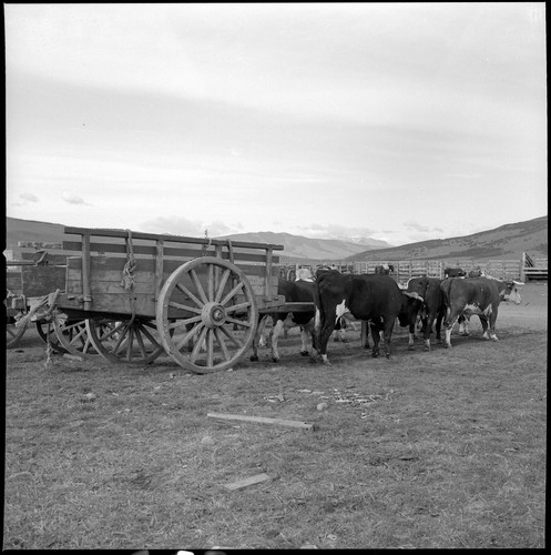 Chili patagonie ranch lot - chili,