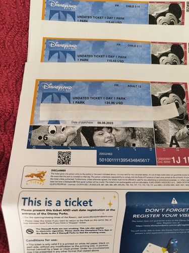 Places billets 1 adulte - 3,