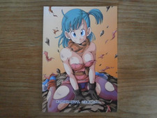 Livre DRAGON BALL - BULMA LOVE