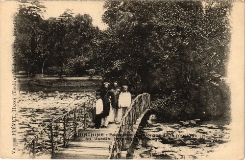 Cpa saigon jardin - ak, botanique