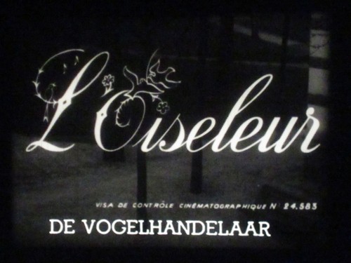 16mm oiseleur court - 16mm:,
