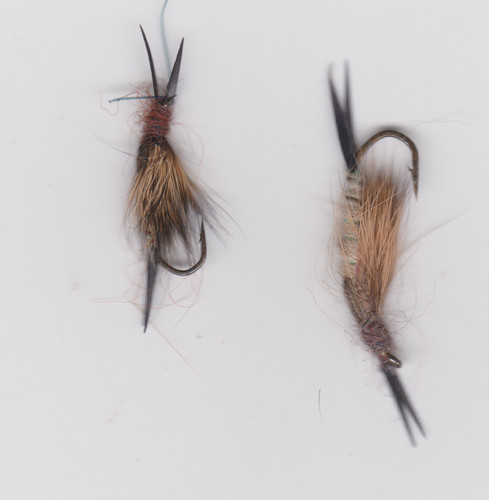 Pêche mouche truite la - mouche,