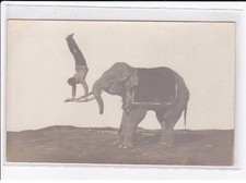 CIRQUE : dressage d'éléphant - accrobate - très bon état