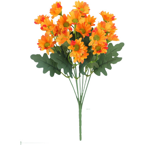 Bouquet fleurs marguerites - de,