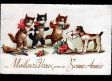 CHATS HUMAINS & CHIEN Messager / FLEURS ROSES / BONNE ANNEE période 1920