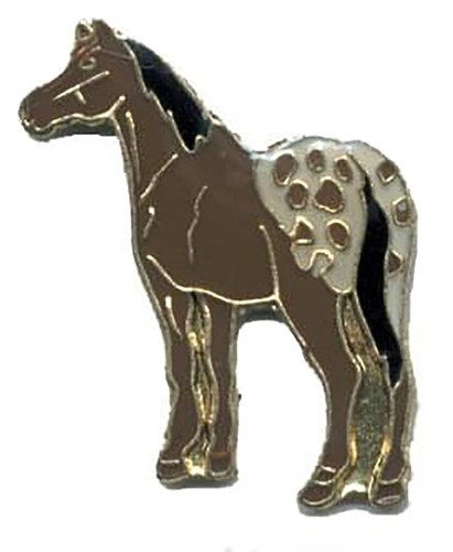 Paquet appaloosa cheval - paquet, de
