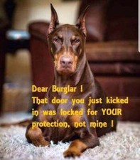 Funny Dog Doberman Pinscher