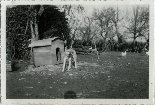 Photo ancienne vintage - -,