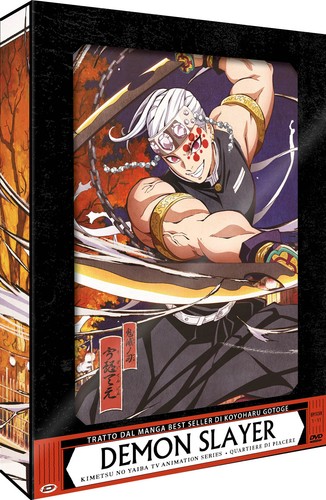 Demon slayer coffret - demon,