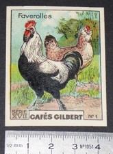 CHROMO 1936 COFFEES GILBERT POULTRY CHICKEN AND ROOSTER FAVEROLLES