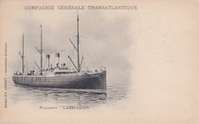 🦬Carte Postale / Postcard /