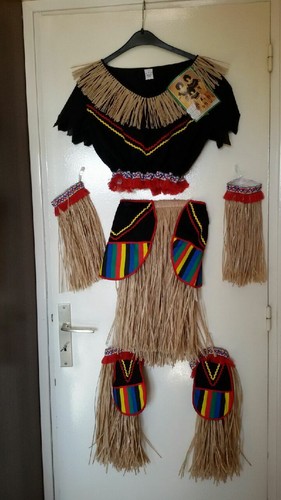 Carnaval magnifique - carnaval,