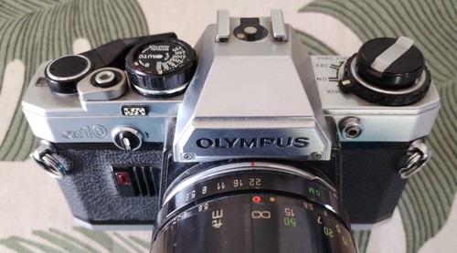 Olympus argentique - 10,