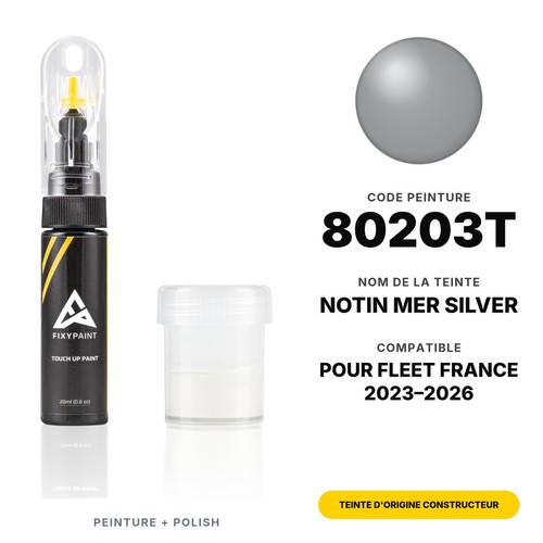 Peinture retouche pour fleet - peinture,