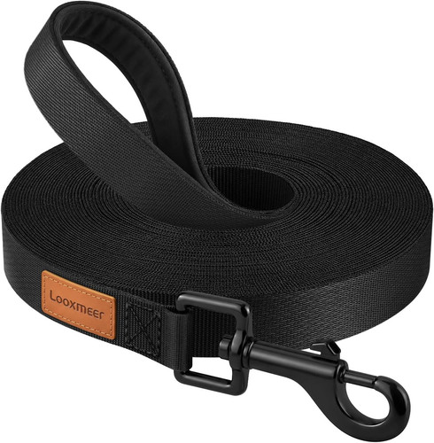Laisse chien longe pour - laisse, chien,