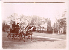 Paris, attelage chevaux