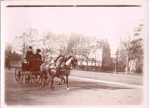 Paris attelage chevaux - paris,,