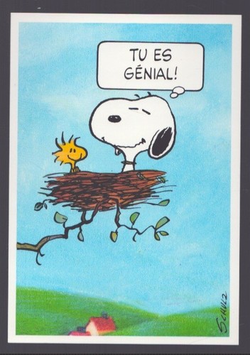 Schutz carte postale - schutz,