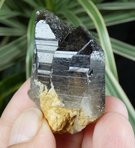 Quartz fumé double pointe - quartz,