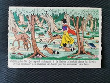 Snow White Escaped the Queen CPA