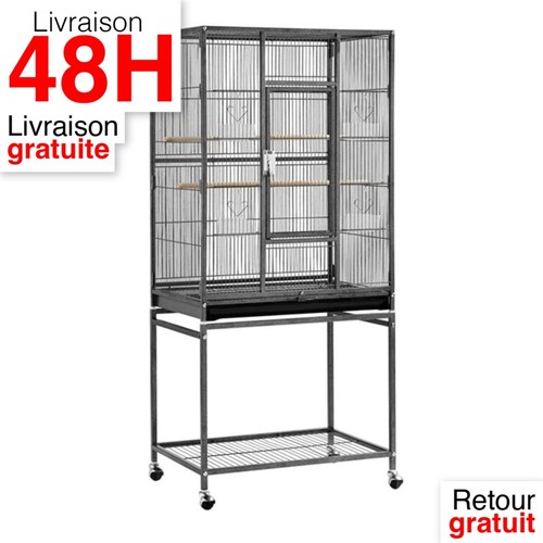 Cage oiseaux sur - à, pied