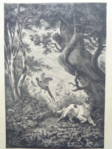 Grande gravure ancienne - gravure,