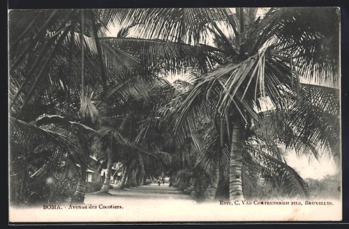 Cpa boma avenue des cocotiers - cpa,