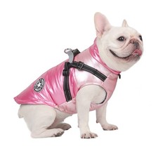 Chien Chat Manteaux Vestes