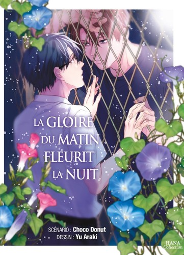 Gloire matin fleurit la - gloire,