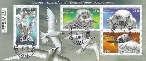 Taaf 798 oblitéré - taaf,