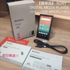 Sony Walkman NW-A106 Hi-Res